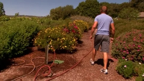 Trystan Bull: Brandon's Blooming Passion for Trystan