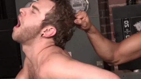 FalconStudios: Hard ramming as well as hairy bodybuilder