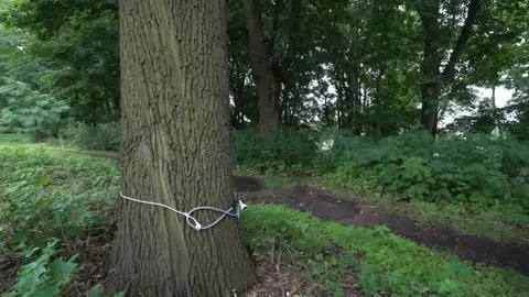 Chancing On dong - oral sex Hook up